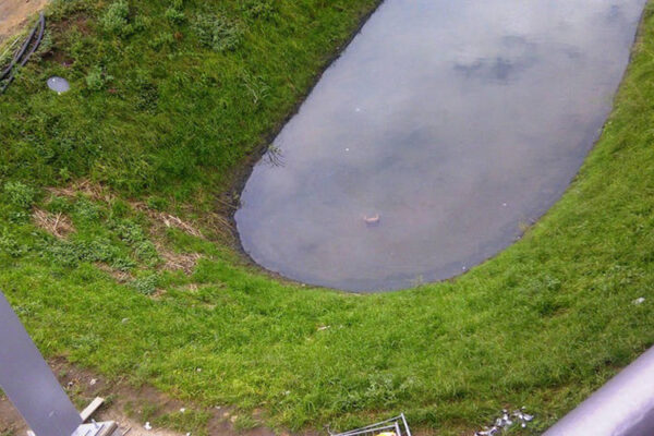 Ansicht eines Ausschnitts eines begrünten Wassersammelbeckens