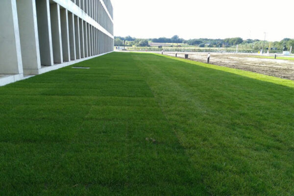 Feuerwehr_Belgien_02_800x500px