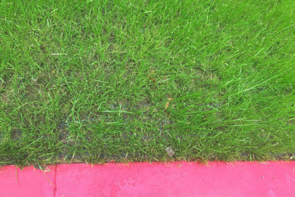 Feuerwehr_Schule-Moskau_04_800x500px