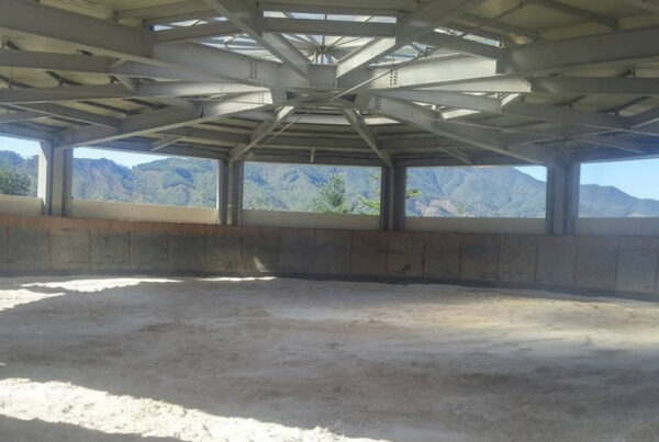 Fertige Ansicht eines Lonigerzirkels mit hellem sandigen Boden