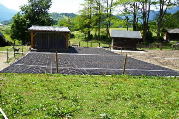 ECORASTER Paddock unverfüllt mit angrenzender Grünfläche und kleinen Ställen