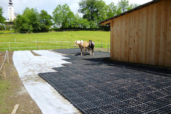 Pferde stehen auf noch unverfüllten ECORASTERN