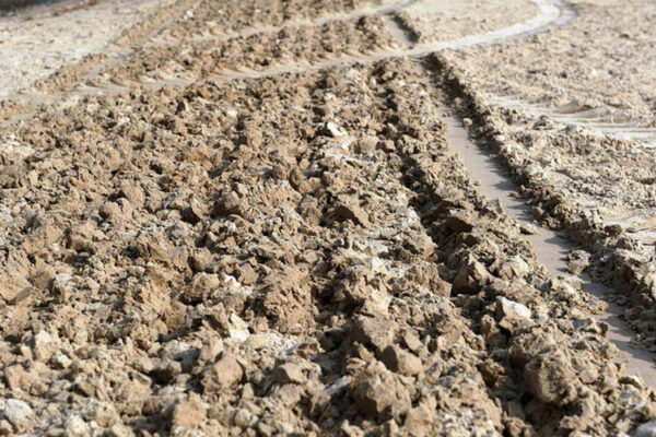 Aufgelockerter Reitplatz mit Sand