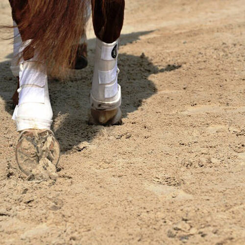 Zwei Hinterläufe eines Pferdes auf einem sandigen Reitplatzboden